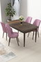 Hanah Home Juego de Mesa y Sillas de Comedor 5 Piezas, Aglomerado Melamina, Patas Metal, 110x76x71cm Mesa, 45x91x42cm Sillas, Barroco/Rosa